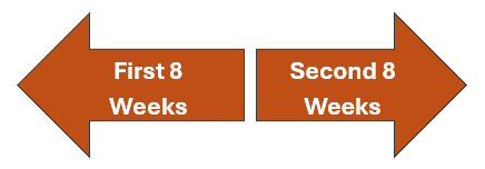Spreadsheet Applications
